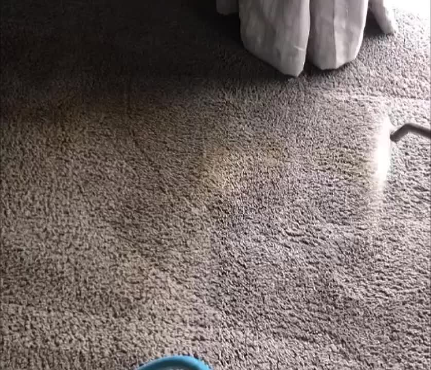 Best Commercial Carpet Cleaning Auckland​ - March 2026