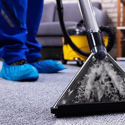 Carpet Cleaning Auckland