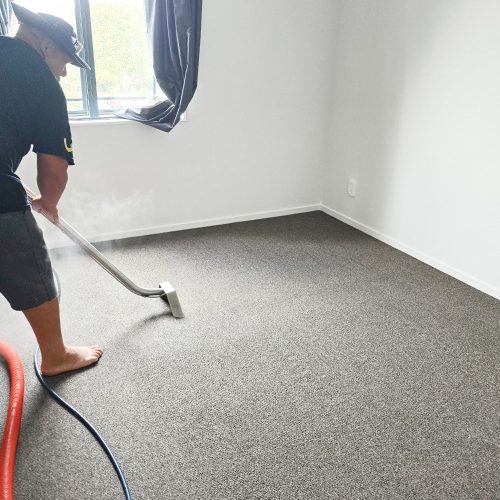 carpet cleaning in nz 2