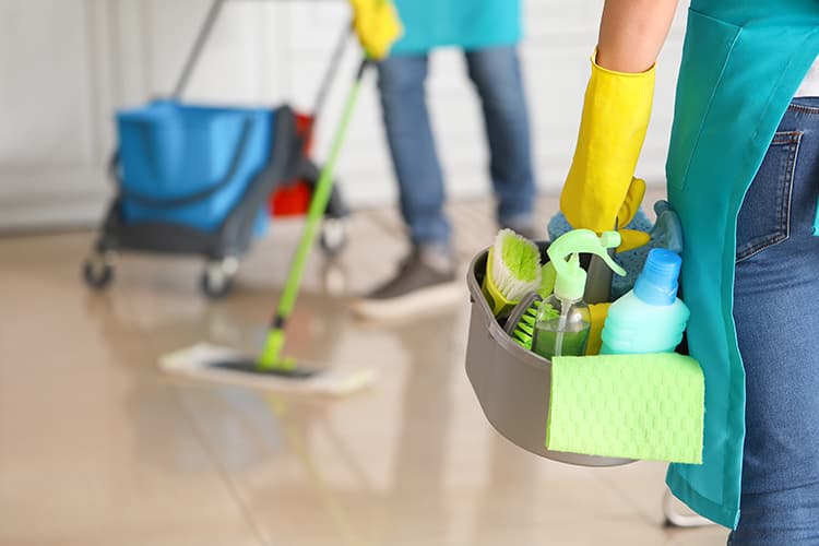 Cleaning Services Howick