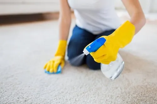 Cleaning Services Wellington