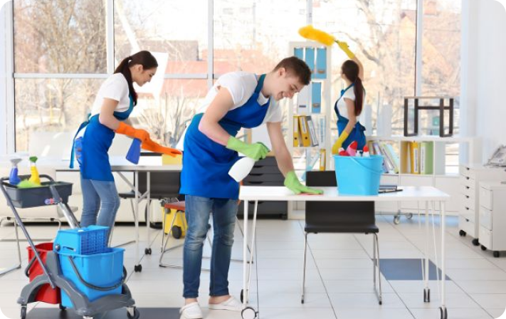 Cleaning Services Wellington