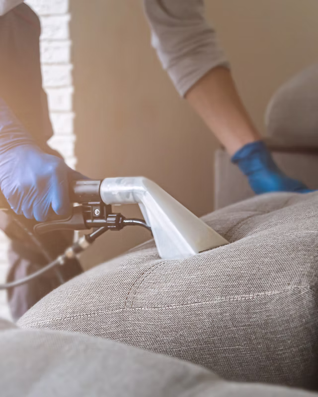 Professional Couch Cleaning Auckland - February 2026