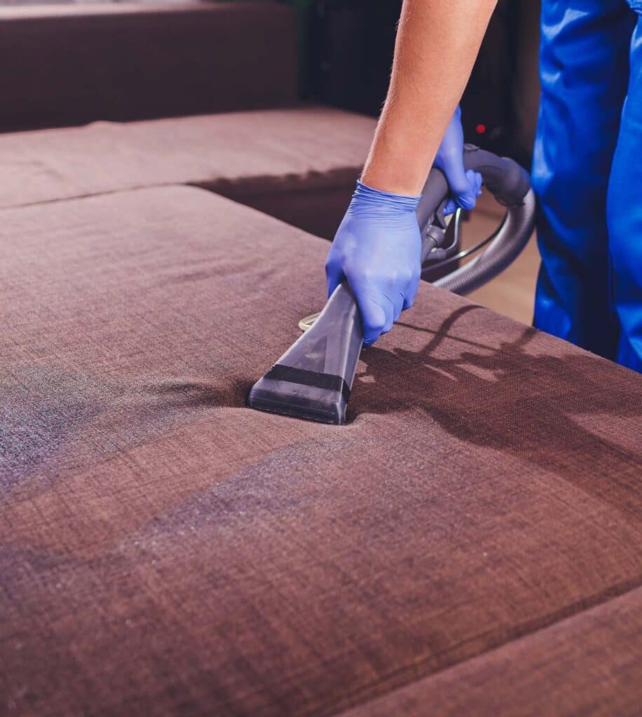 Expert Couch Cleaning Auckland - February 2026