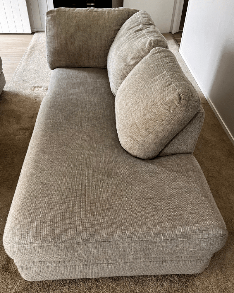 Expert Couch Cleaning Auckland - February 2026