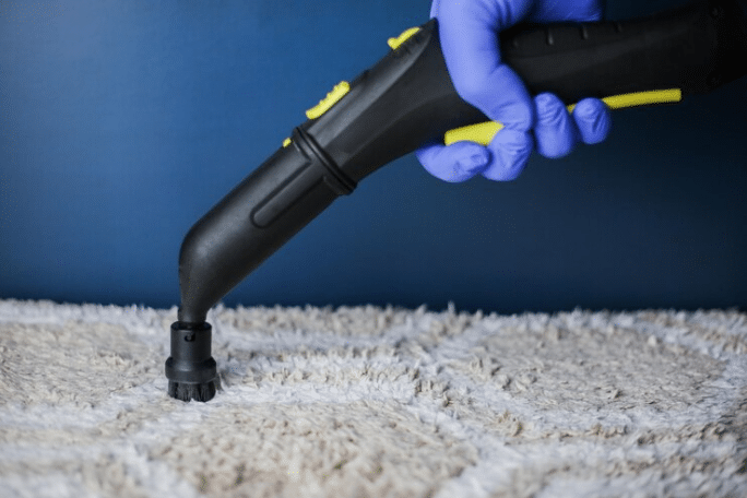 Affordable How Much Does Carpet Cleaning Cost in New Zealand? - February 2026