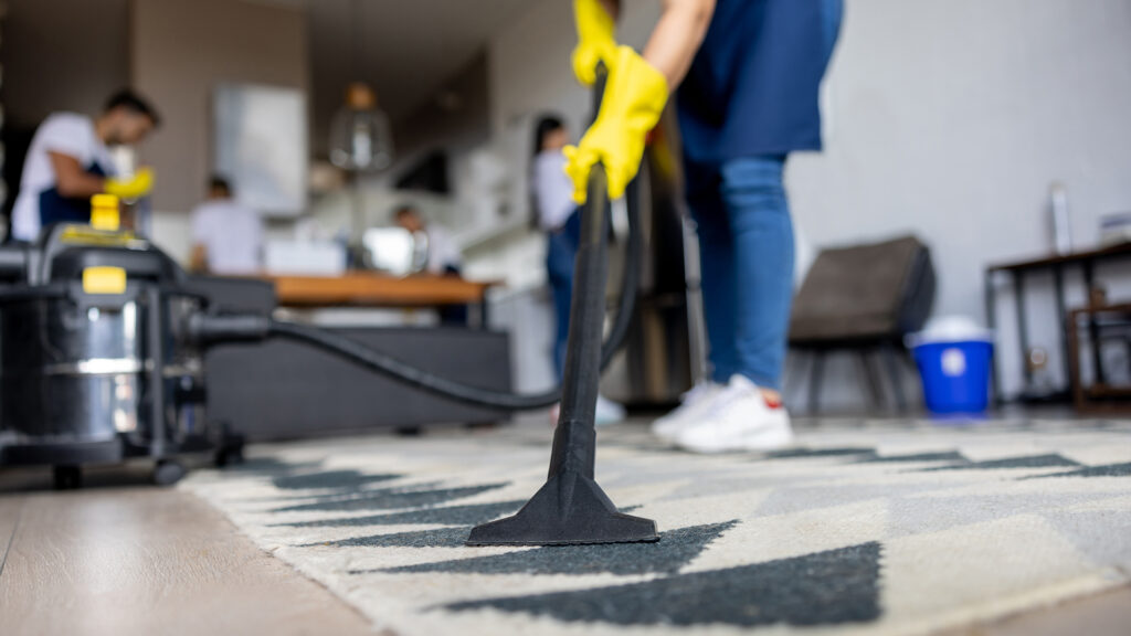 Expert Cleaning Services Rotorua