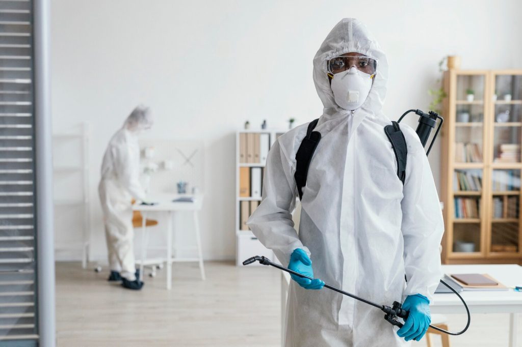 Local Pest Control Auckland - October 2025