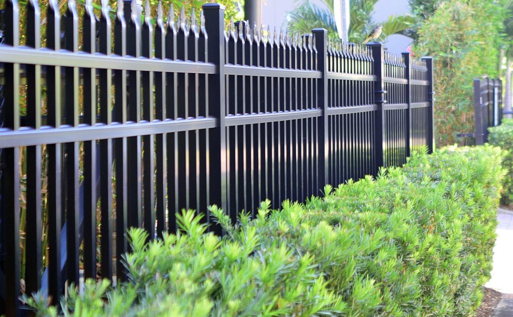 Hedge Trimming Auckland ​