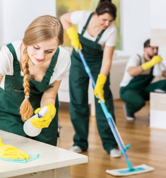 Local Cleaning Company West Auckland - October 2025