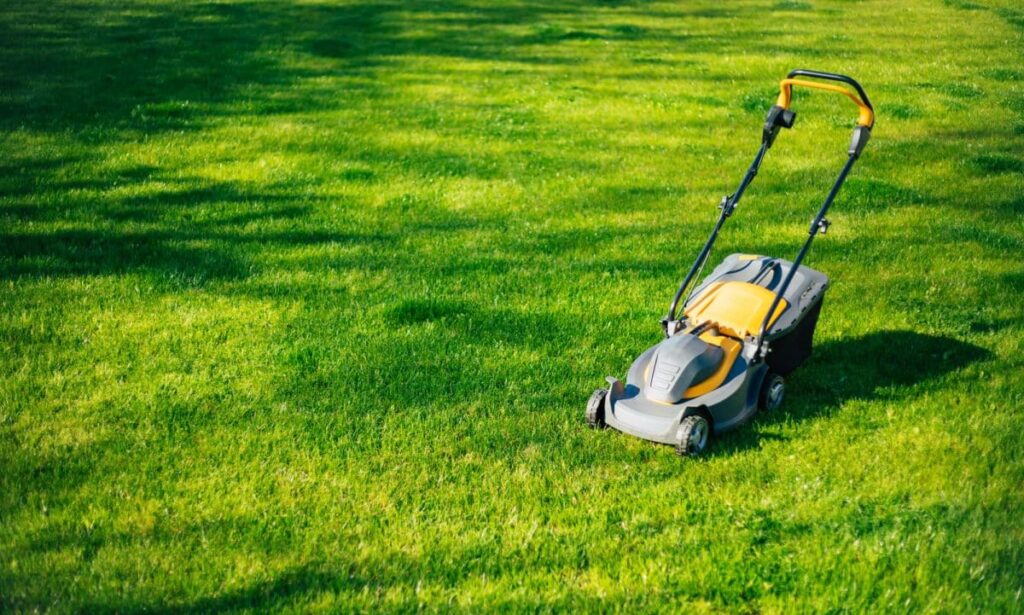 How Much Does Lawn Mowing Cost in New Zealand?