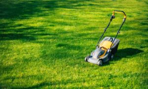 How Much Does Lawn Mowing Cost in New Zealand?