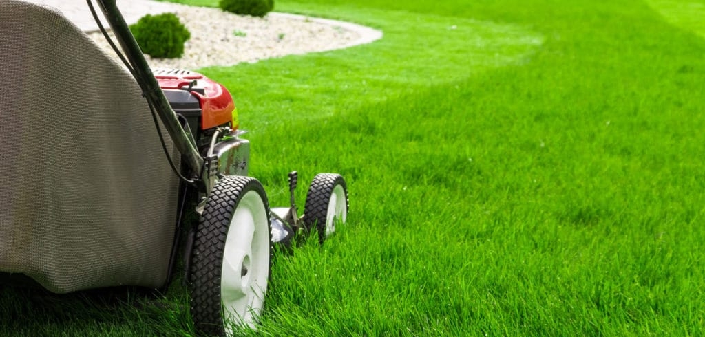 Expert How Much Does Lawn Mowing Cost in New Zealand? - February 2026