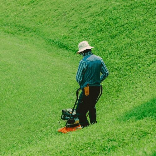 lawn moving
