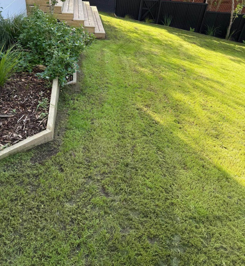 lawn mowing