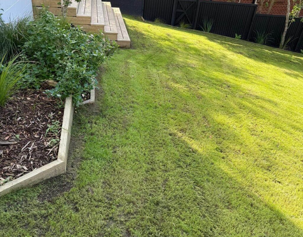 Quality Lawn Mowing West Auckland - October 2025