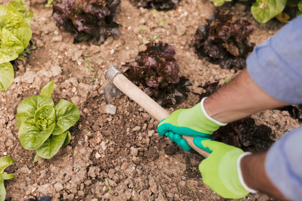 mulching