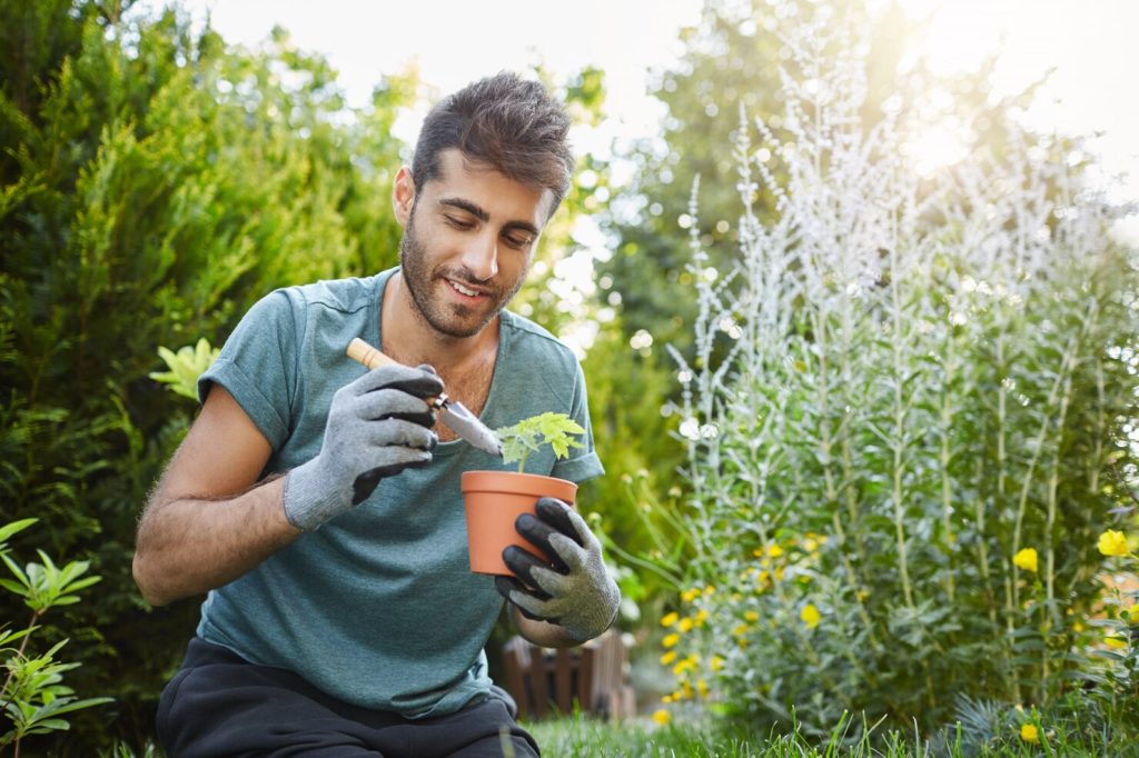 planting