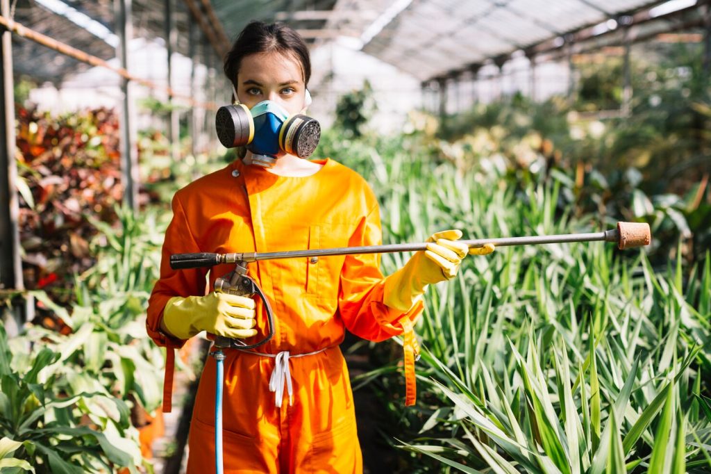 Top Pest Control Auckland - October 2025