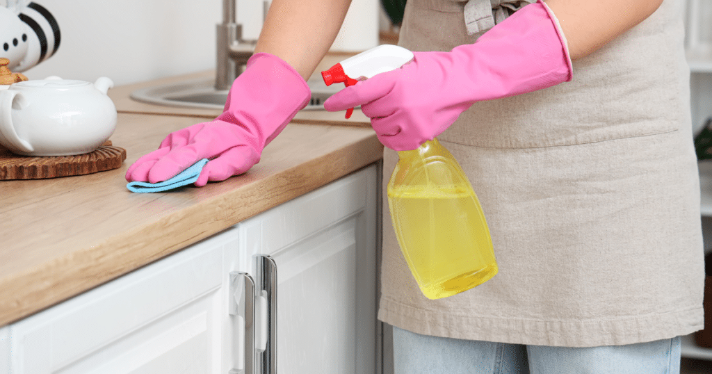 Top-rated Mount Eden home cleaners for kitchens, bathrooms, and living areas
