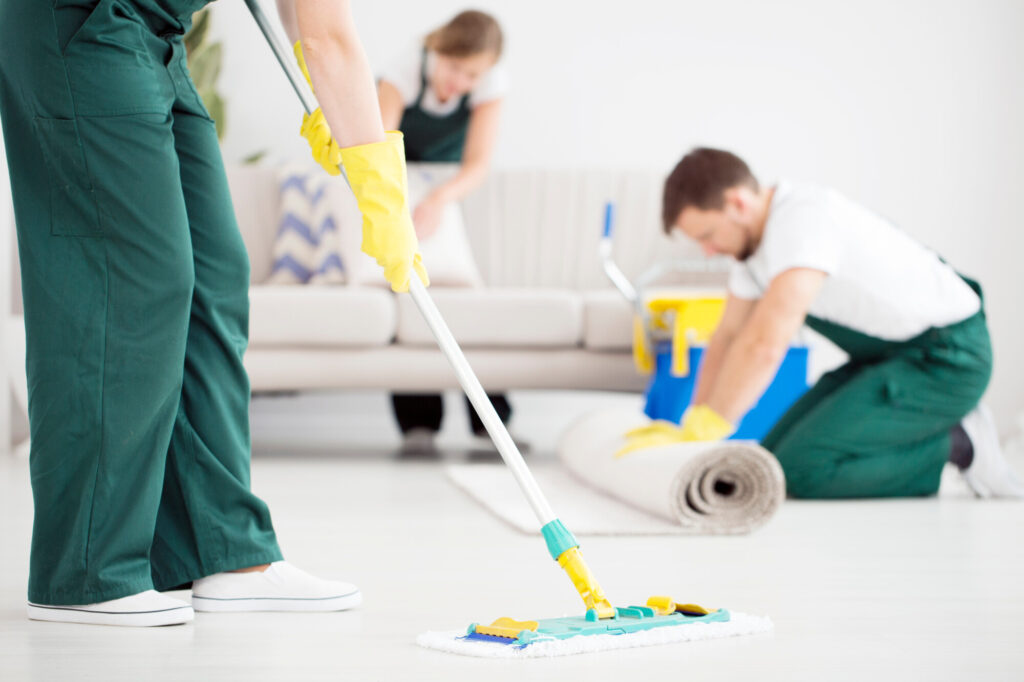 Living room cleaned by expert cleaners in Pukekohe