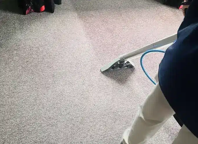 Professional Carpet Cleaning Auckland - March 2026