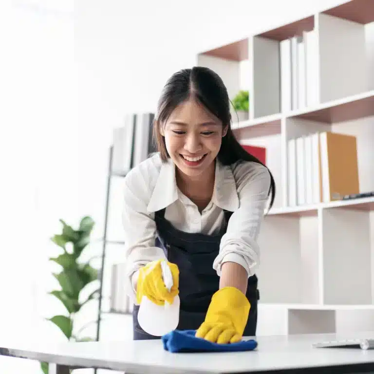 comprehensive home cleaning services in auckland