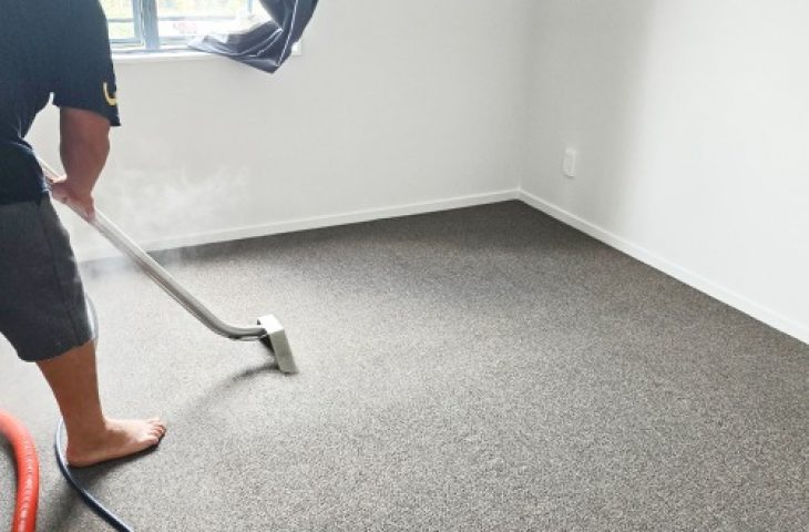 carpet cleaning in nz 2