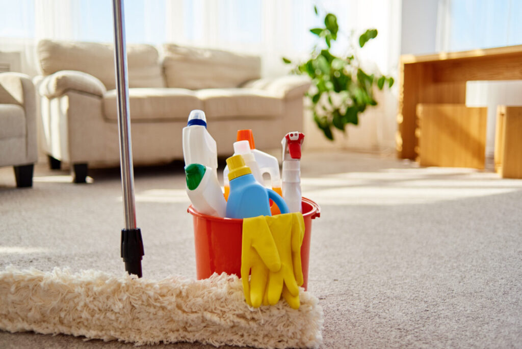Cleaning Services Howick