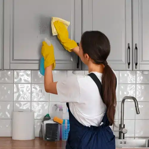 expert home cleaning Auckland