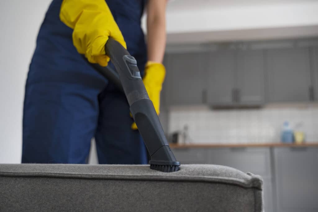 Professional Carpet Cleaning West Auckland - February 2026
