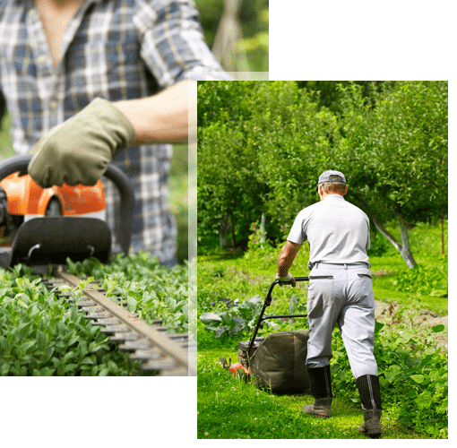 Quality Garden Maintenance Auckland - October 2025