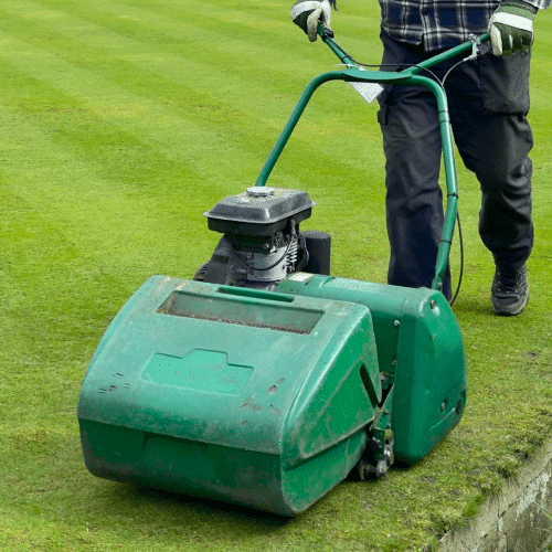 Local Garden Maintenance Auckland - October 2025