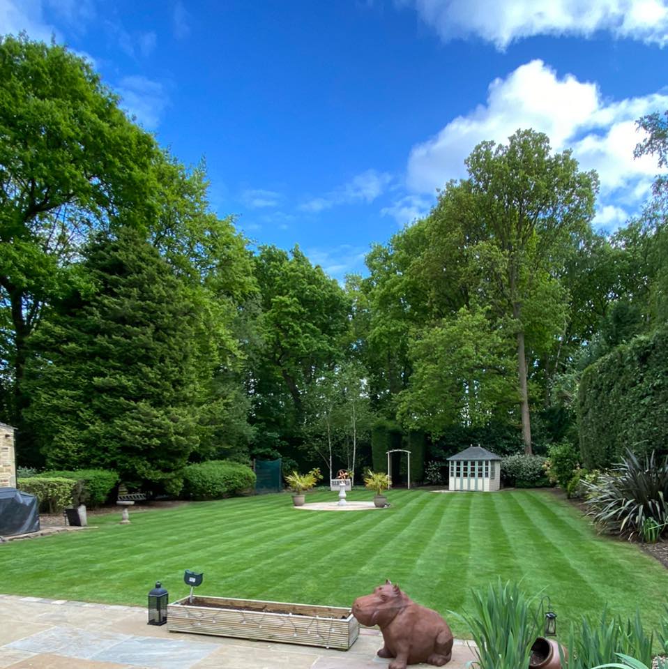 Quality Garden Maintenance Auckland - October 2025
