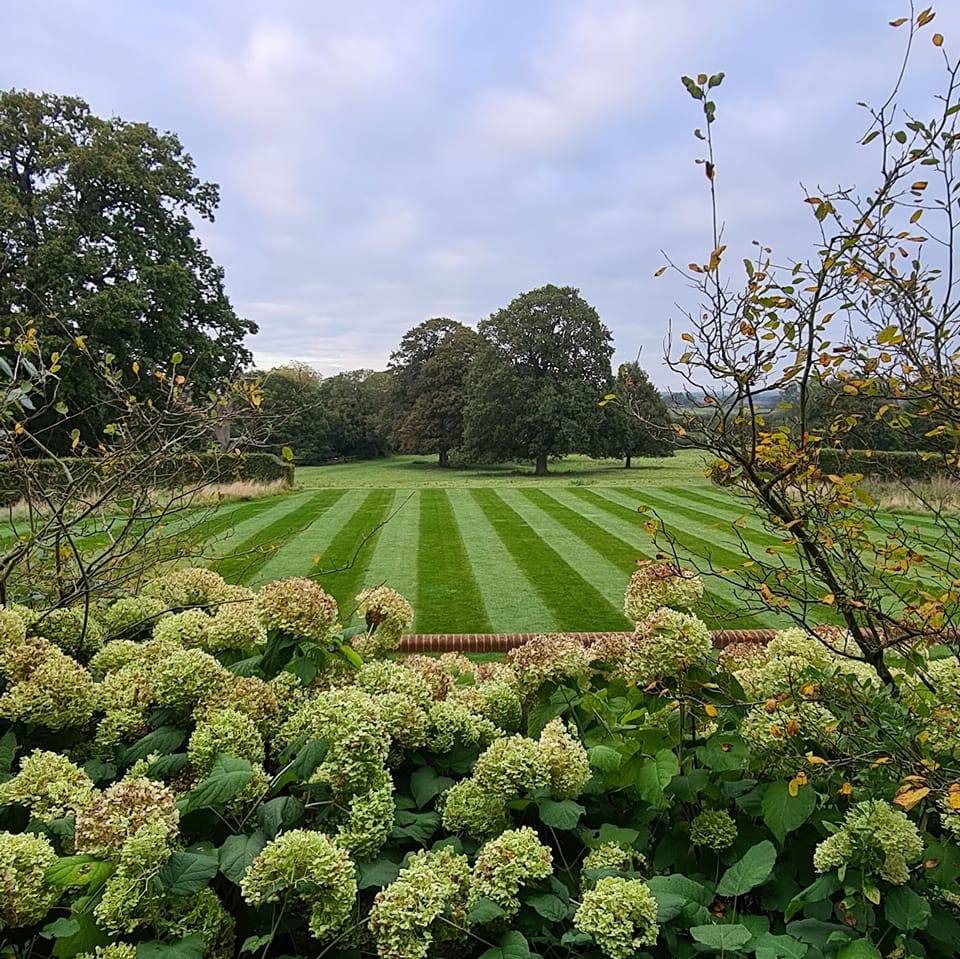 Cheap Garden Maintenance Auckland - October 2025