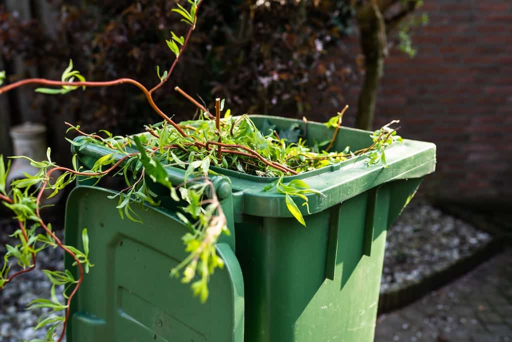 Best Green Waste Removal Auckland - October 2025