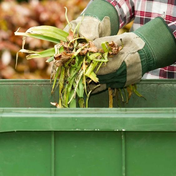 Expert Green Waste Removal Auckland - October 2025