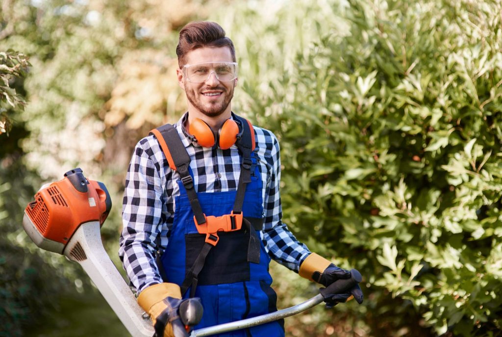 lawn mouing review