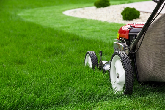 Lawn Moving Hastings