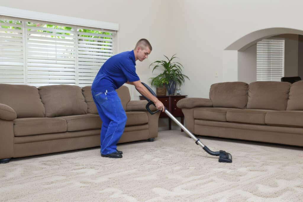 Cheap Carpet Cleaning South Auckland - February 2026