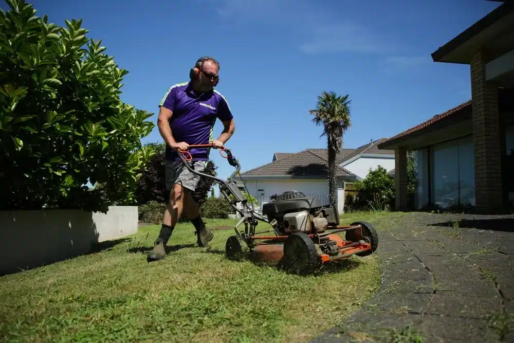 Top How Often Should You Mow Your Lawn In Auckland? - March 2026