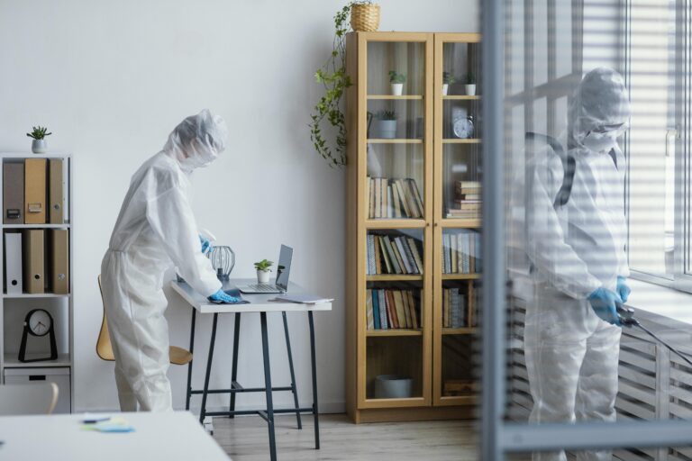 Professional Flea Treatment Auckland - January 2026