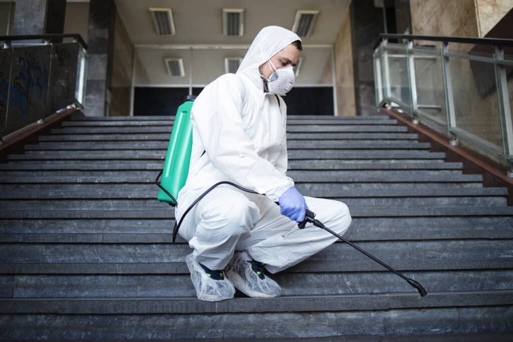 Cheap Ant Control Auckland - January 2026