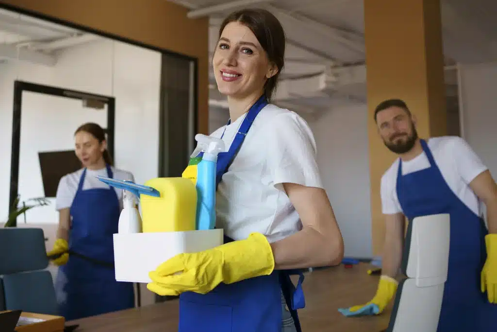 Professional Home Cleaning Auckland - October 2025