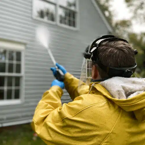 Affordable Roof Cleaning Auckland - December 2025