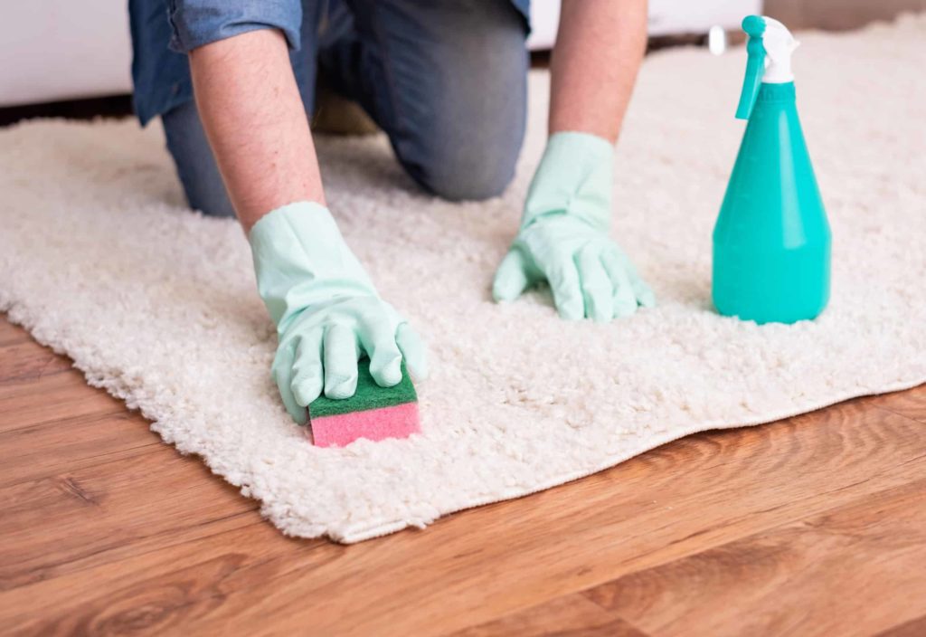 cleaning,carpet,stains,using,sponge,and,spot,remover
