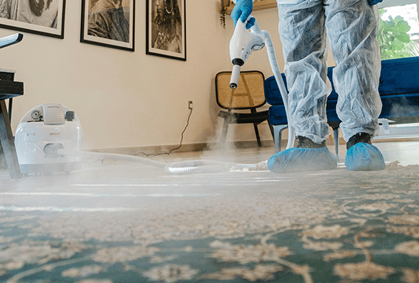 Rug Cleaning Auckland,commercial carpet cleaning Auckland,rug cleaning West Auckland,carpet quote,carpet cleaner service,carpet and upholstery cleaners,wool rug cleaning