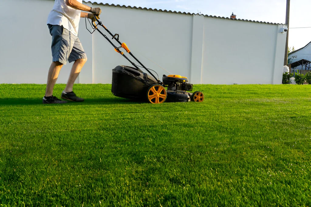 Lawn Moving Tauranga​​​